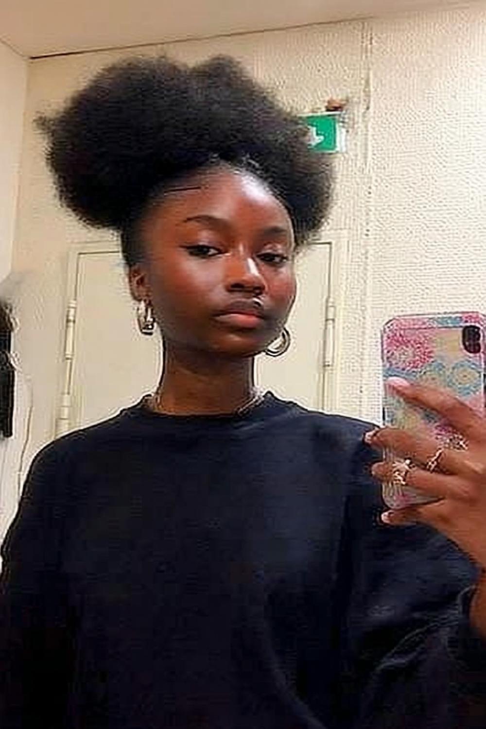 Locs Naturelles Longues