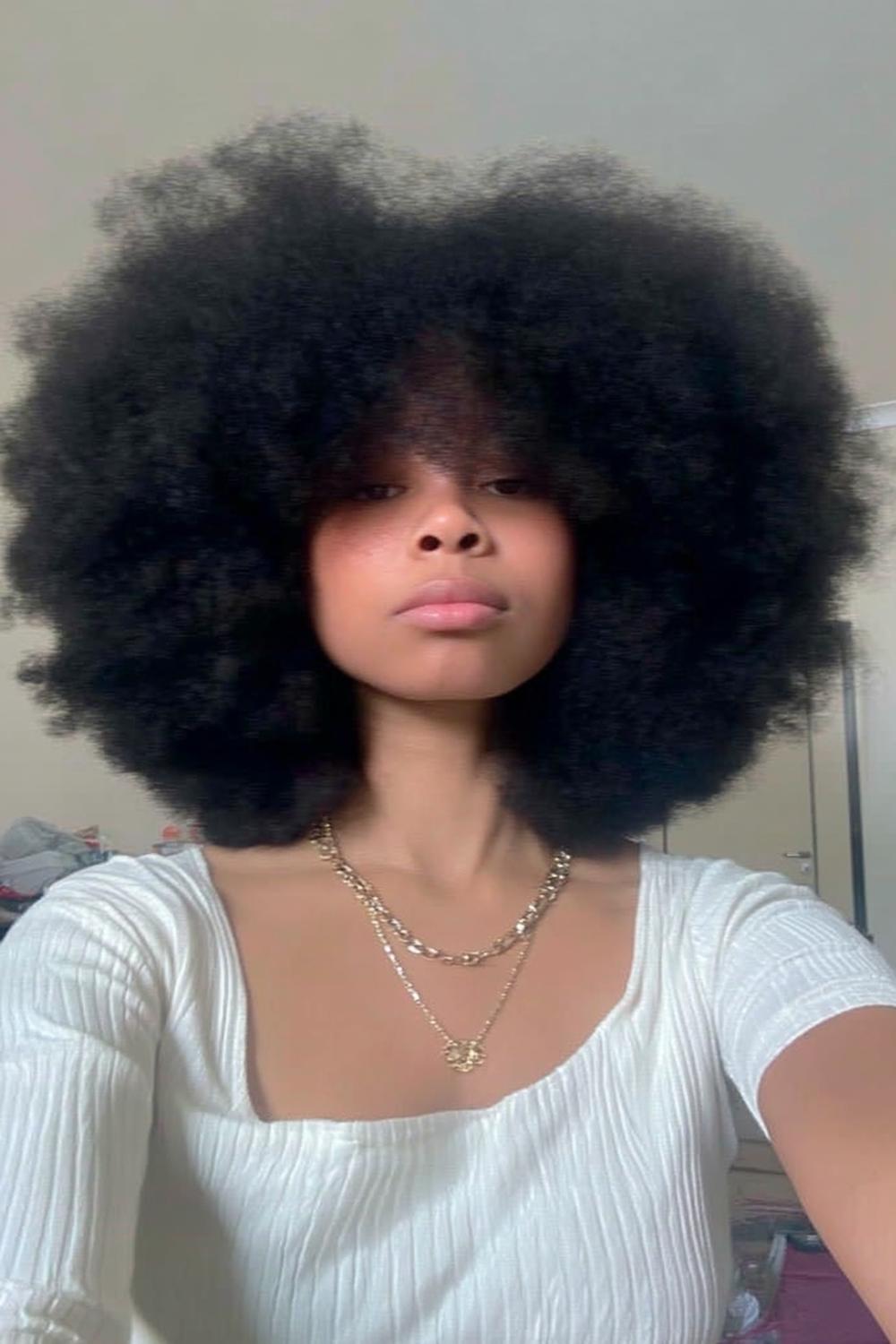 Queue Texturée Basse