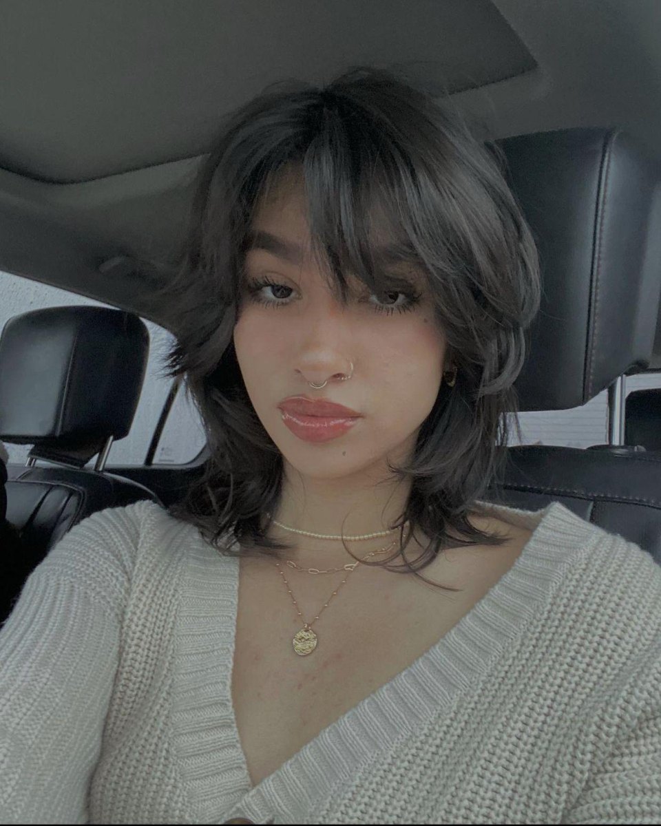 Inspirations wolf cut cheveux épais